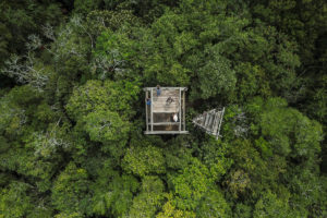 玛雅生物圈保护区乌axactun特许经营区内一座塔的鸟瞰图，社区成员用它来监测森林火灾。