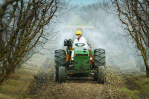 特朗普时代的环境保护署否决了对农药毒死蜱的禁令。毒死蜱用于60多种作物。