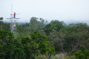 一座研究塔，是巴西亚马逊脸项目的一部分，科学家在这里测量森林对气候变化的反应。