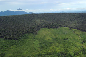 婆罗洲西加里曼丹省山坡上的后退的森林。