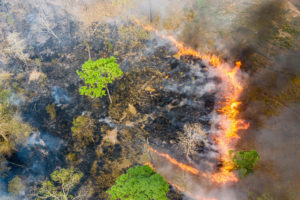 柬埔寨北部金边博克野生动物保护区附近燃烧的鸟瞰图。在旱季，数百起火灾席卷全国，许多是由伐木工和农民引起的。
