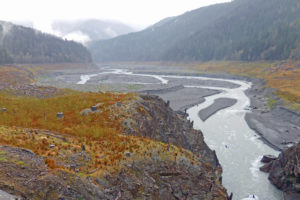 在拆除两座大坝后，植被正在华盛顿州返回这款Elwha河谷。 