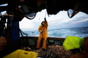 一艘法国拖网渔船上的渔民正在清理捕获的比目鱼和鲭鱼。