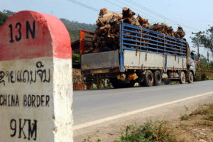 木材通过卡车经过老挝北部的罗南塔省运往中国边境。
