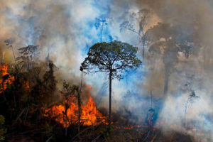 8月15日，巴西巴西巴西巴州亚马逊的非法点燃火灾中升起。