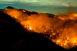 9月17日，加州南部的洛杉矶国家森林发生山猫大火。