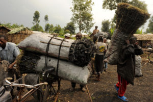 刚果民主共和国北基伍省的木炭商人，那里的大部分木炭产自维龙加国家公园的树木。