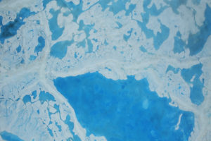 2016年7月北极海冰上的融水。