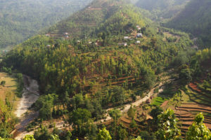 在尼泊尔的古米地区，树木生长在以前的梯田上。