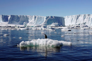 南极洲东部Adélie陆地上正在融化的冰。