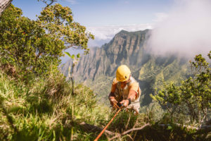 植物学家史蒂夫佩尔曼·霍拉伯谷罗巴德山脉夏威夷海岛夏威夷岛的生物多样性热点。188金博网注册就送188
