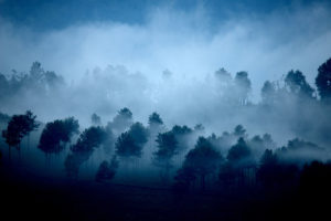 印度西高止山脉的阿纳玛莱山，笼罩在薄雾中。