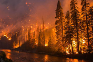 在2014年在华盛顿州的一条河边旁边森林火焰燃烧着。
