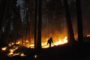森林经理在加利福尼亚州的斯坦尼斯劳斯国家森林中设定了这一规定的烧伤。