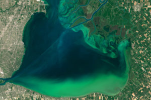 藻类绽放在2015年7月的圣克莱尔湖。湖边毗邻底特律，密歇根州到西部和加拿大农田。