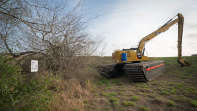 挖掘机清除了La Parida Banco的边境墙的树木，部分Rio Grande Valley国家野生动物避难所。