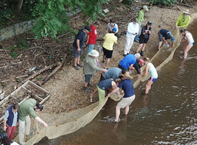 保护主义者在新泽西州贝弗利·贝弗利河的特拉华河中捕获鱼和其他水生生活。