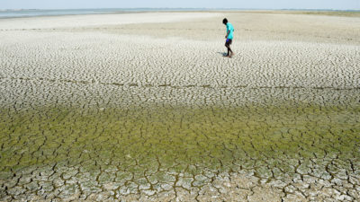 在5月，印度钦奈郊区的一张干湖床。