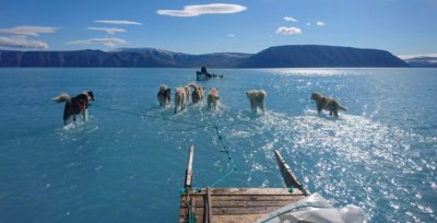 6月13日，丹麦气象研究所的一个小组乘坐狗拉雪橇穿越格陵兰岛西北部的一个融水池塘，取回设备。