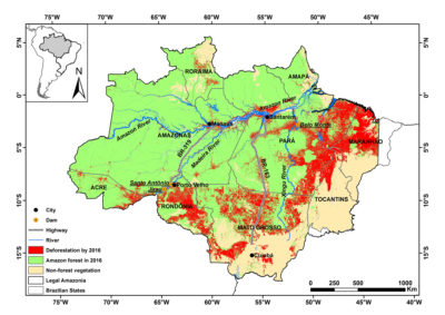 在巴西亚马逊，截至2016年，法国大小的区域已经丢失了森林砍伐。 