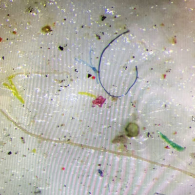 科学家发现塑料的微观粒子被困在海冰中。