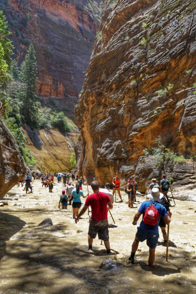 2017年7月，徒步旅行者在锡安国家公园最受欢迎的徒步旅行之一的狭窄地带涉水而过。