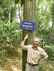 越南森林巨人霍普亚